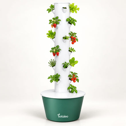 OUR BOTALEO GROWING
