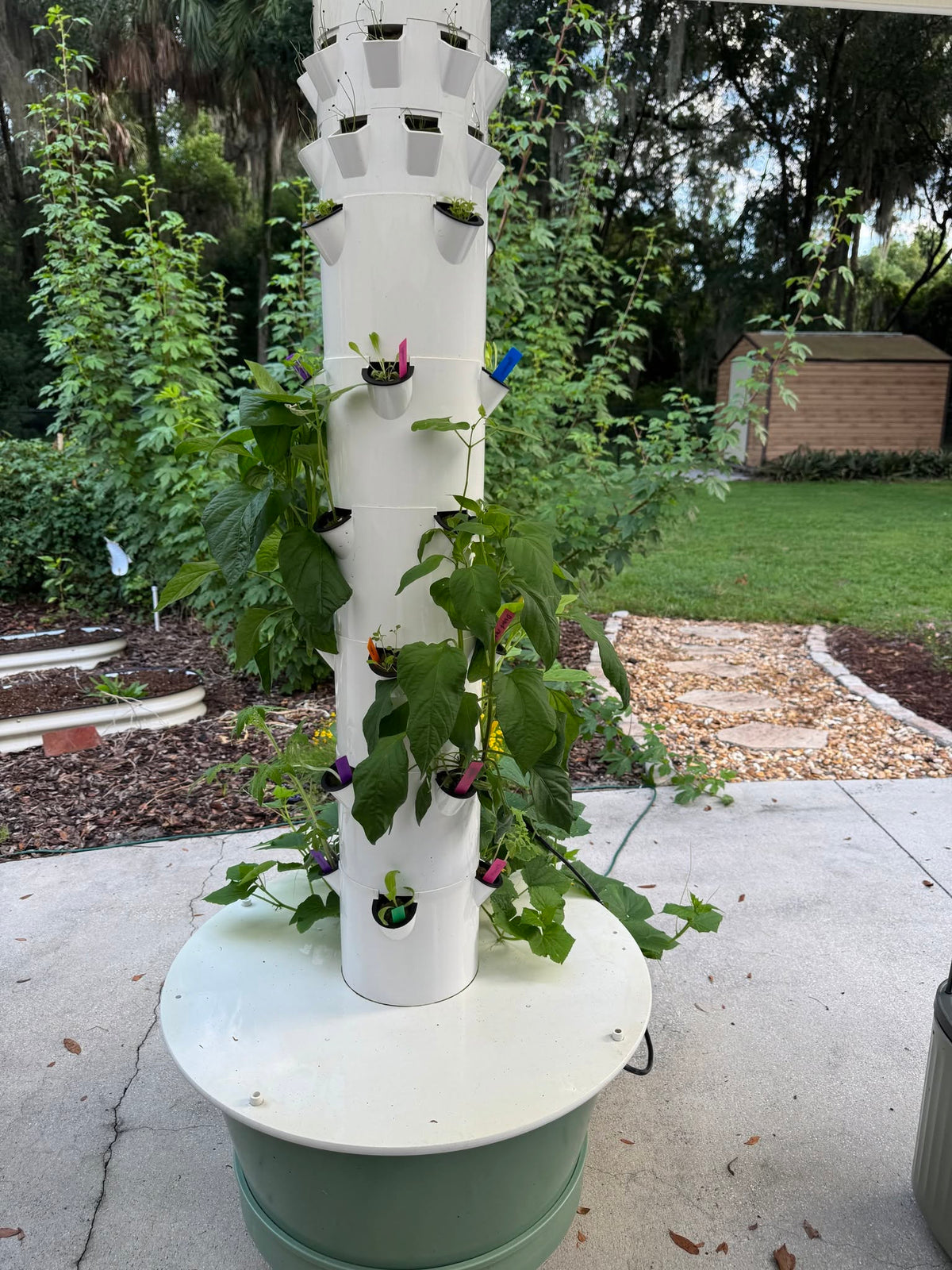 Photo shared with this Botaleo review