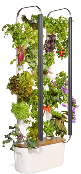 Botaleo Garden FLEX