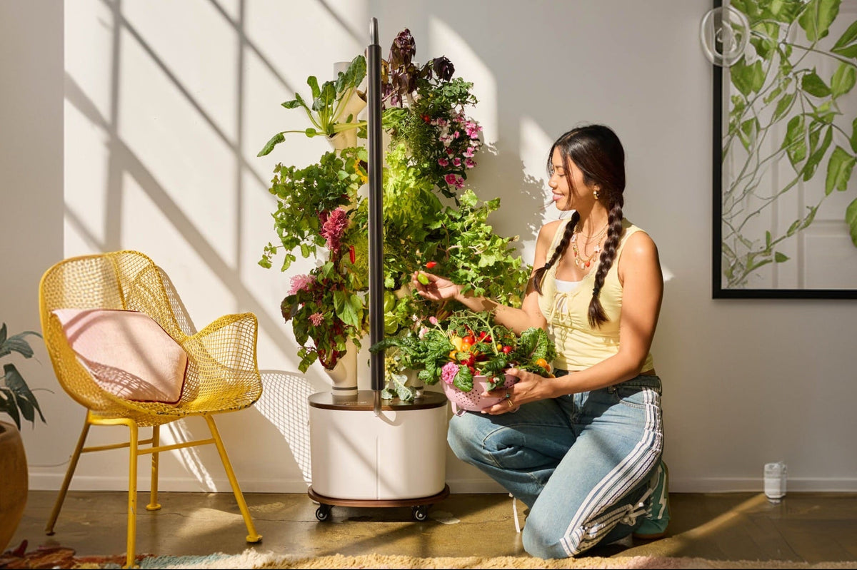 Vertical indoor growing tower with leafy greens